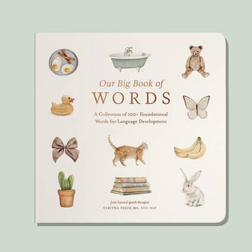 Baby Board Book - Our Big Book of First Words