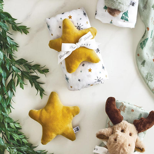 Swaddle with Plush Star