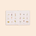Load image into Gallery viewer, Set of 3 - Our Little Adventures Board Books
