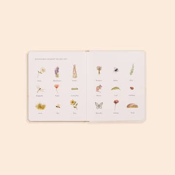 Set of 3 - Our Little Adventures Board Books