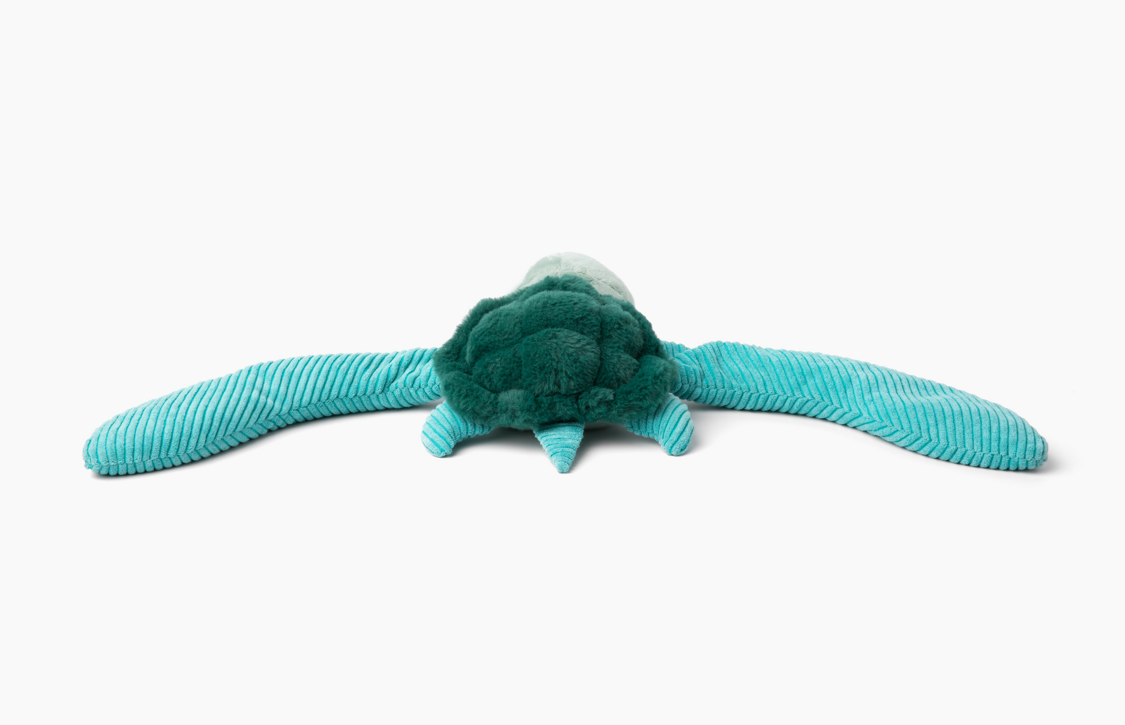 Hugarounds-Sidney the Turtle